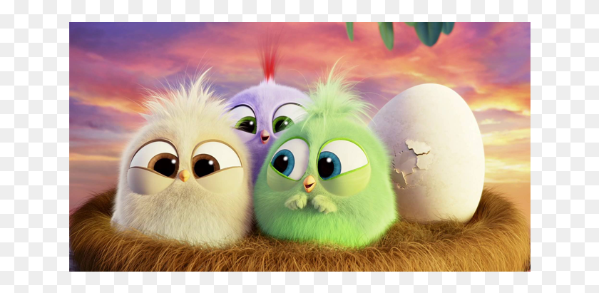 648x351 Hatchlings Are Baby Birds That Were Introduced In The Angry Bird Hatchlings, Egg, Food HD PNG Download