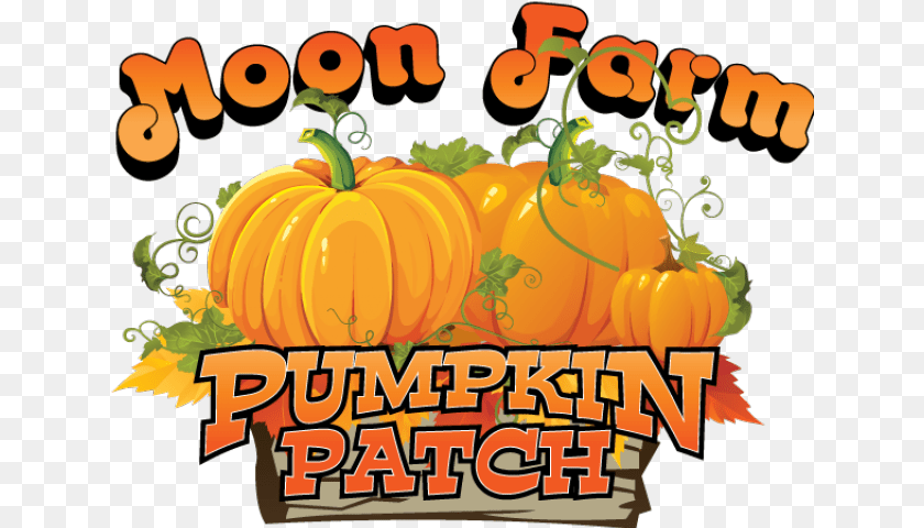 640x480 Haunted Clipart Pumpkin Patch Moon Farm Fruita Colorado, Food, Plant, Produce, Vegetable Transparent PNG