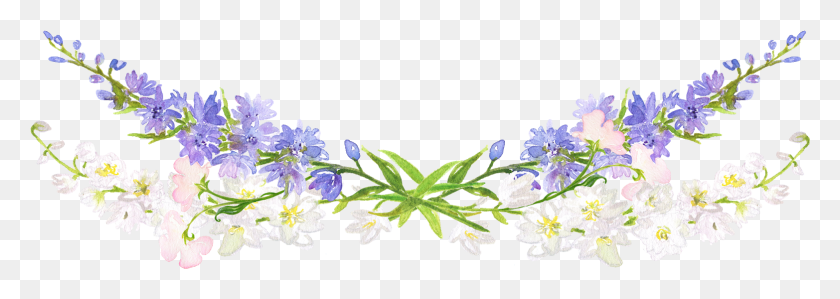 1565x480 Have A Good Week X Harebell, Plant, Flower, Blossom HD PNG Download