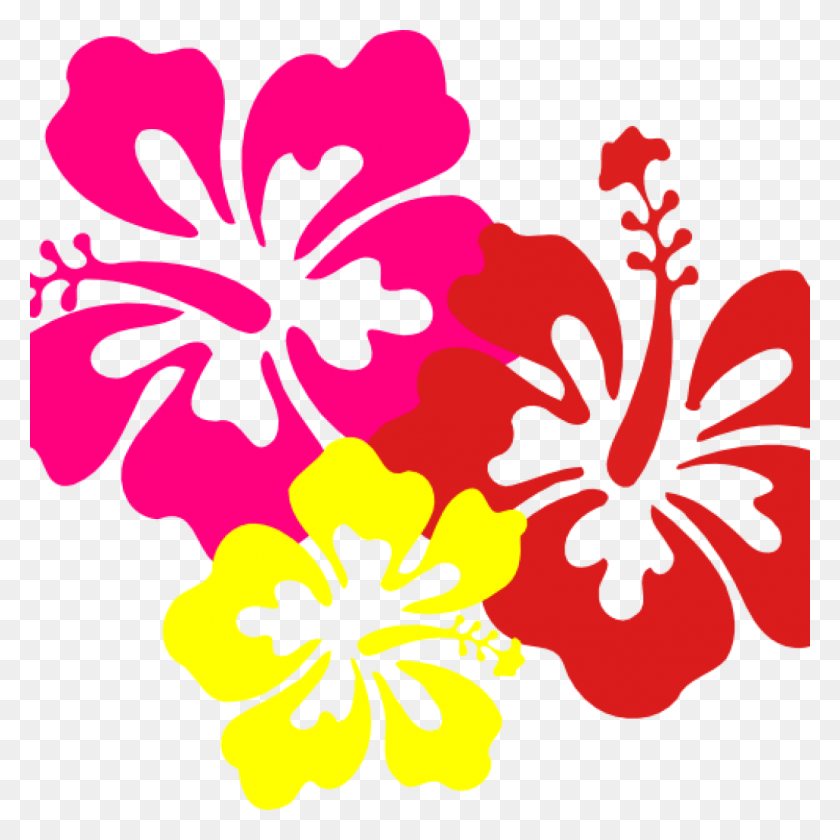 1024x1024 Hawaiian Border Clip Art Hawaiian Flower Clip Art Borders Flowers Of Hawaii, Hibiscus, Flower, Plant HD PNG Download