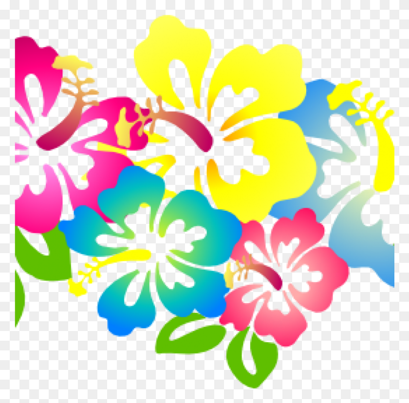 1025x1010 Гавайский Цветок Клипарт Гибискус Цветочный Клип-Арт Hibiscus4 Гавайские Тематические Картинки, Растение, Гибискус, Цветок Hd Png Download