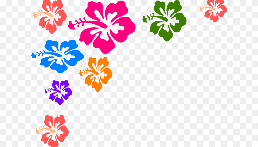 Hawaiian Flowers Clipart, Flower, Hibiscus, Plant PNG