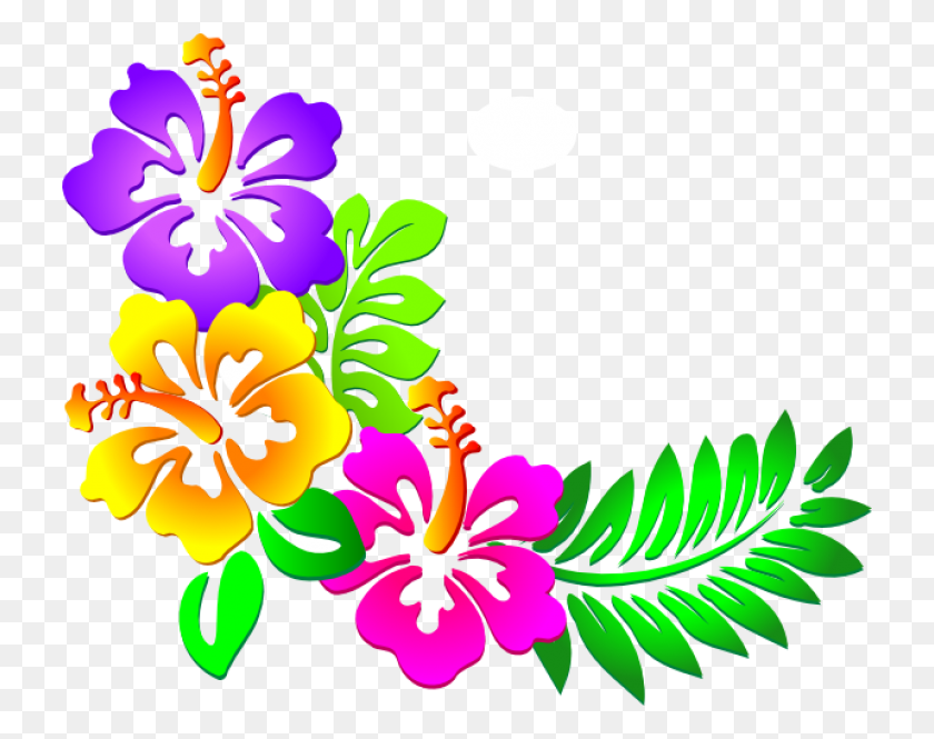 728x605 Hawaiian Flowers Clipart Butterfly Corner Border Design, Graphics, Floral Design HD PNG Download