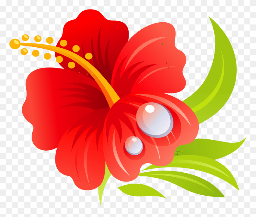 1779x1484 Hawaiian Hibiscus Hawaiian Hibiscus Drawing Clip Art Hibiscus Clip Art, Plant, Flower, Blossom HD PNG Download