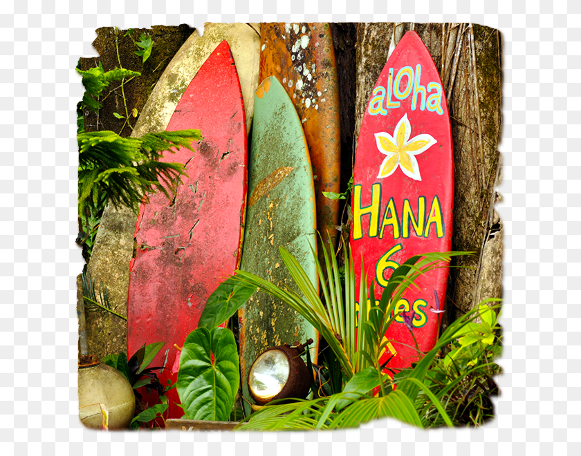627x600 Гавайи Planche De Surf Гавайи, Море, На Открытом Воздухе, Вода Hd Png Скачать