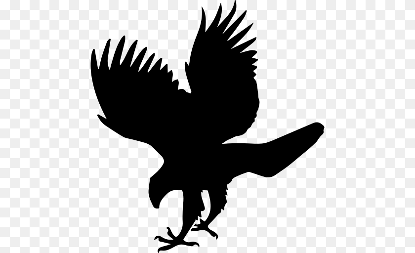 Hawk Bird Animal Shape Icon, Gray PNG