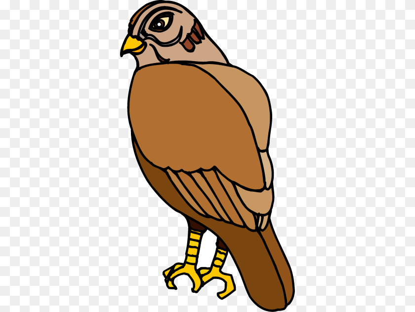 Hawk Clip Art Free, Animal, Bird, Kite Bird, Buzzard Sticker PNG