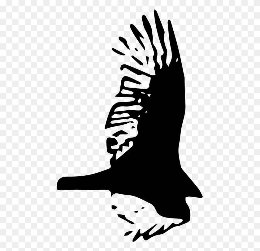 473x750 Hawk Eagle Vulture Beak Illustration, Gray, World Of Warcraft HD PNG Download