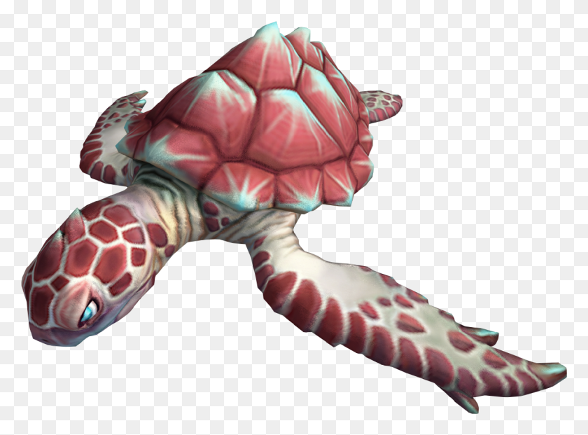 1200x864 Hawksbill Sea Turtle, Sea Life, Animal, Turtle HD PNG Download