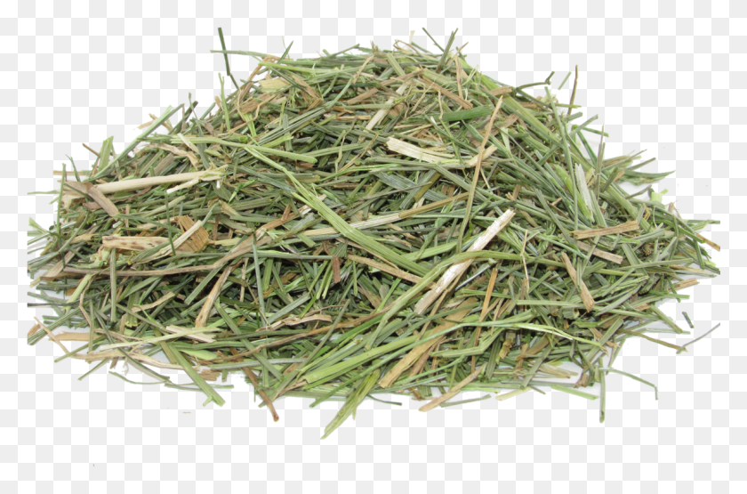 1182x751 Hay, Plant, Seasoning, Food HD PNG Download