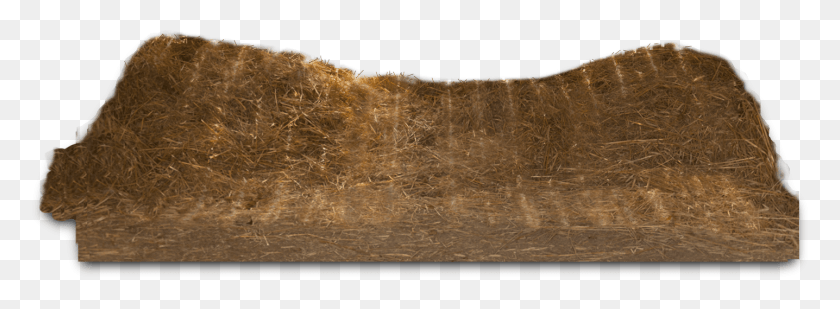 1436x459 Hay, Bread, Food, Plant HD PNG Download