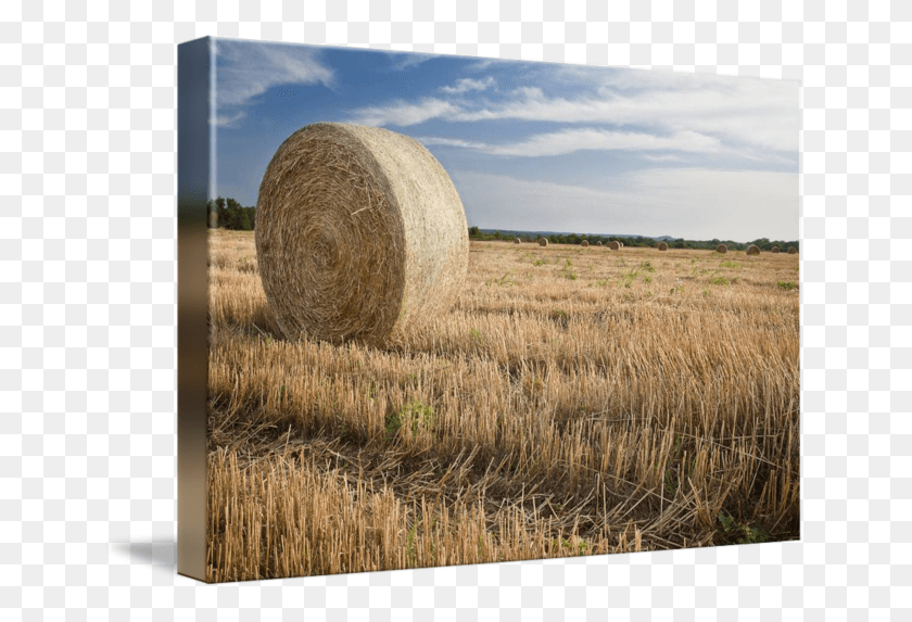 650x513 Hay Color Photography By Paul Huchton Hay, Nature, Outdoors, Field HD PNG Download