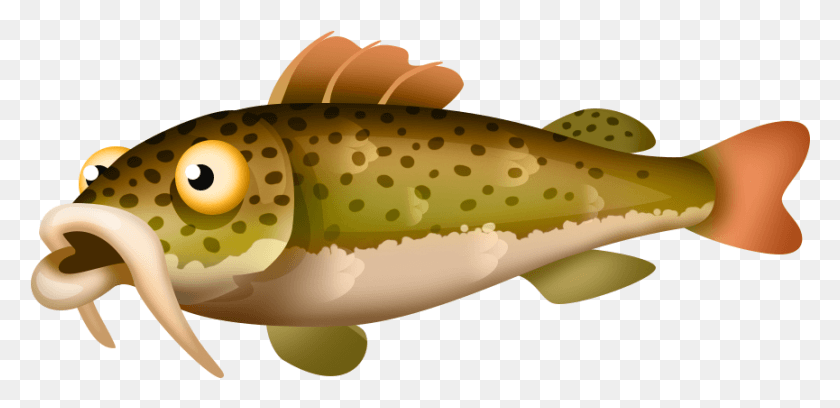 865x386 Hay Day Wiki Ikan Hay Day, Fish, Animal, Toy HD PNG Download