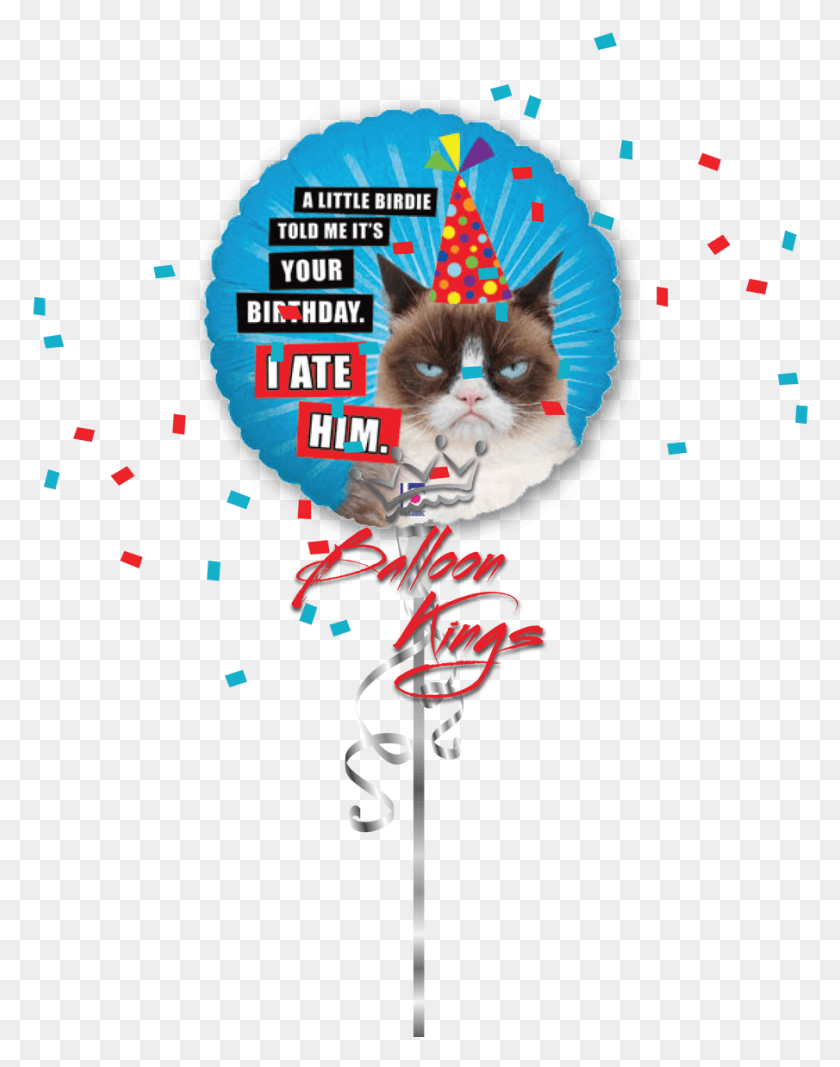 905x1169 Hb Grumpy Cat Little Birdie Told Me It Was Your Birthday I Ate Him, Paper, Confetti, Poster HD PNG Download