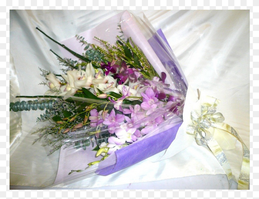 801x601 Hb O108 Приветственный Букет Тостов, Растение, Цветок, Цветение Hd Png Скачать