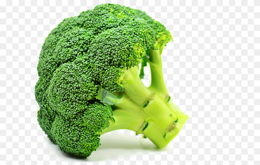 801x534 Hd Broccoli Green Broccoli, Food, Plant, Produce, Vegetable PNG