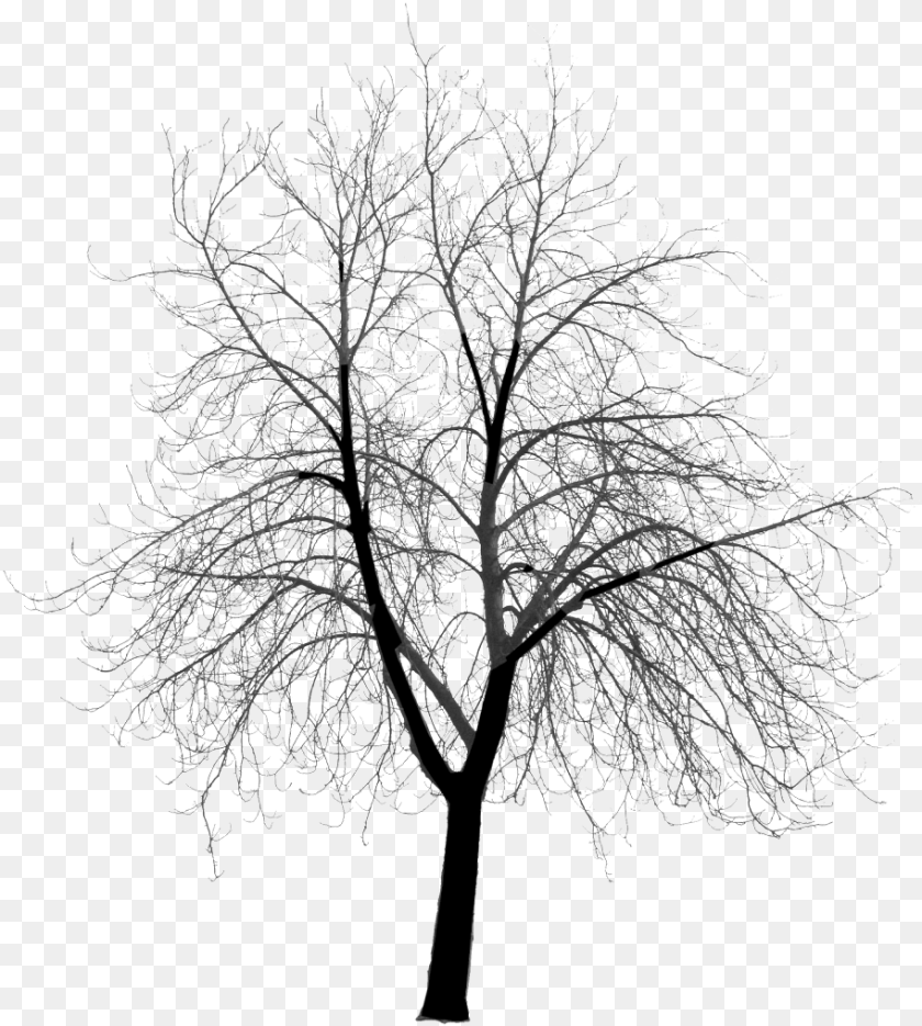 Hd Photo Clickhandler 2351 1 Architecture Silhouette Tree, Weather, Snow, Outdoors, Nature PNG