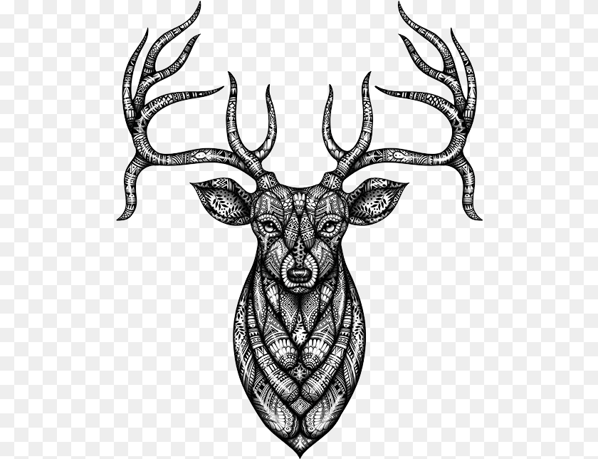 517x644 Head Bandana, Animal, Mammal, Wildlife, Deer Transparent PNG