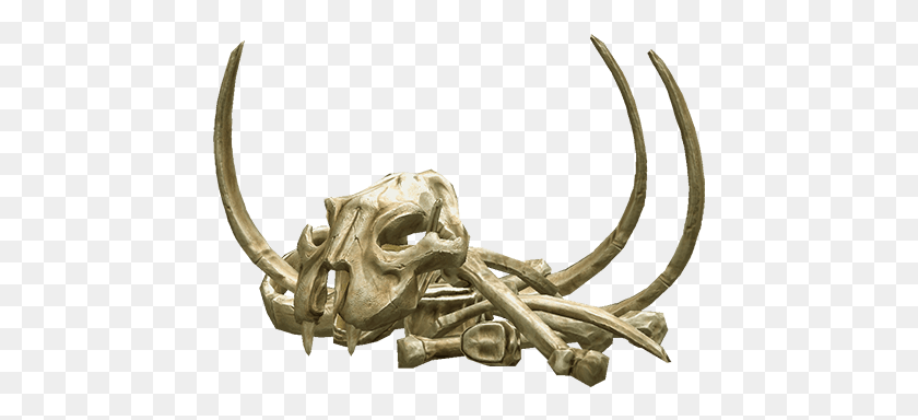 451x324 Head Bone Transparent Bones, Skeleton, Fossil HD PNG Download