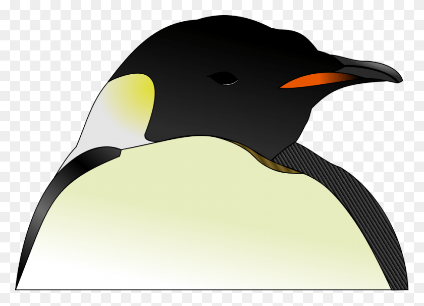 900x630 Head Cabeza De Pingino Cabeza De Pinguino, King Penguin, Penguin, Bird HD PNG Download