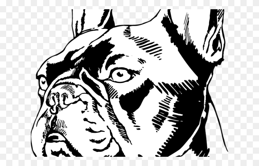 640x480 Иллюстрация Французского Бульдога, Трафарет, Лицо Png Скачать