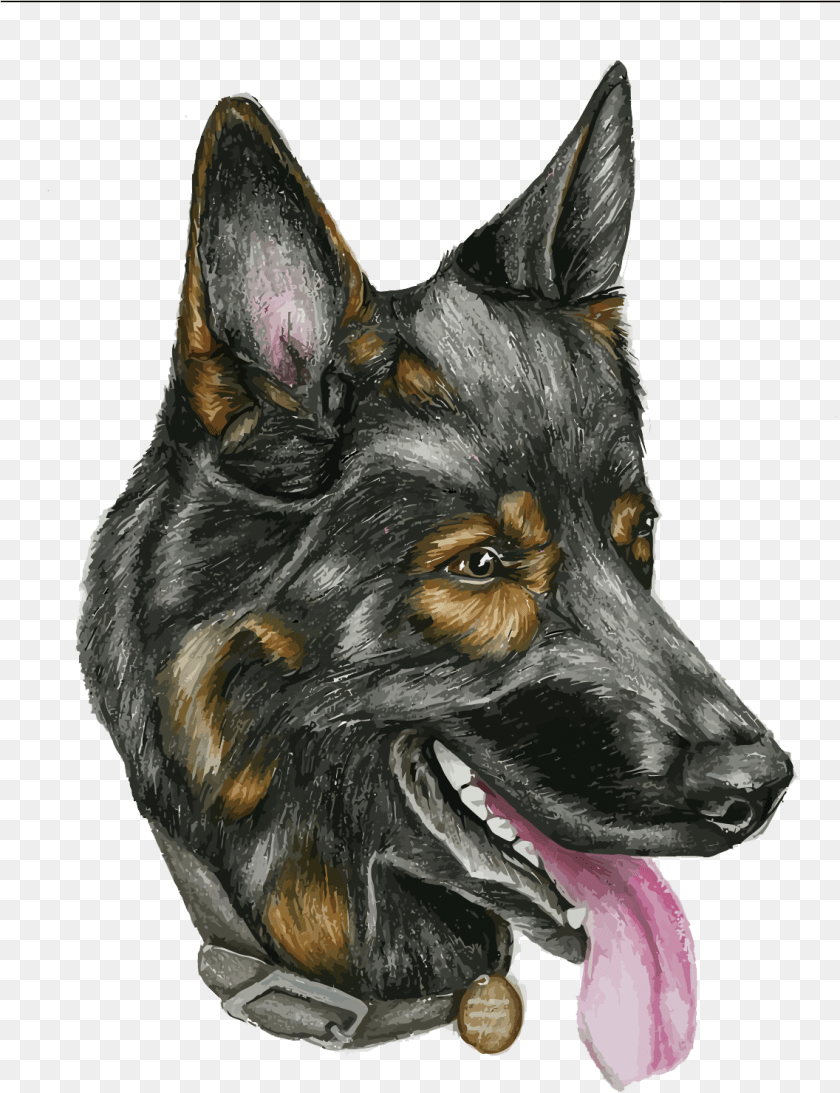 Head Dog Vector, Animal, Canine, German Shepherd, Mammal Sticker PNG