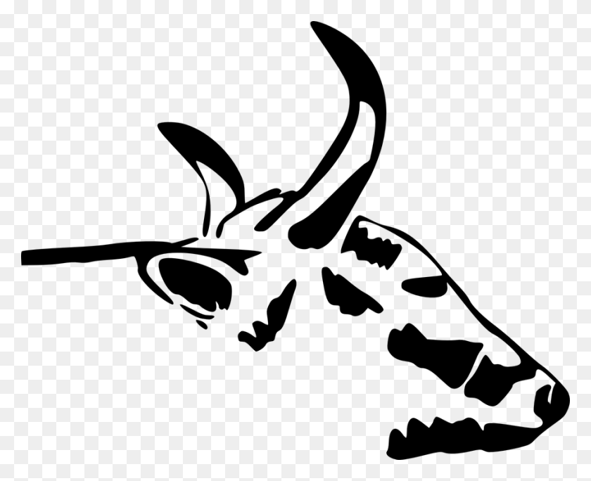 900x720 Head Face Cow Animal Farm Horns Mammal Farming Cow Head, Gray, World Of Warcraft HD PNG Download