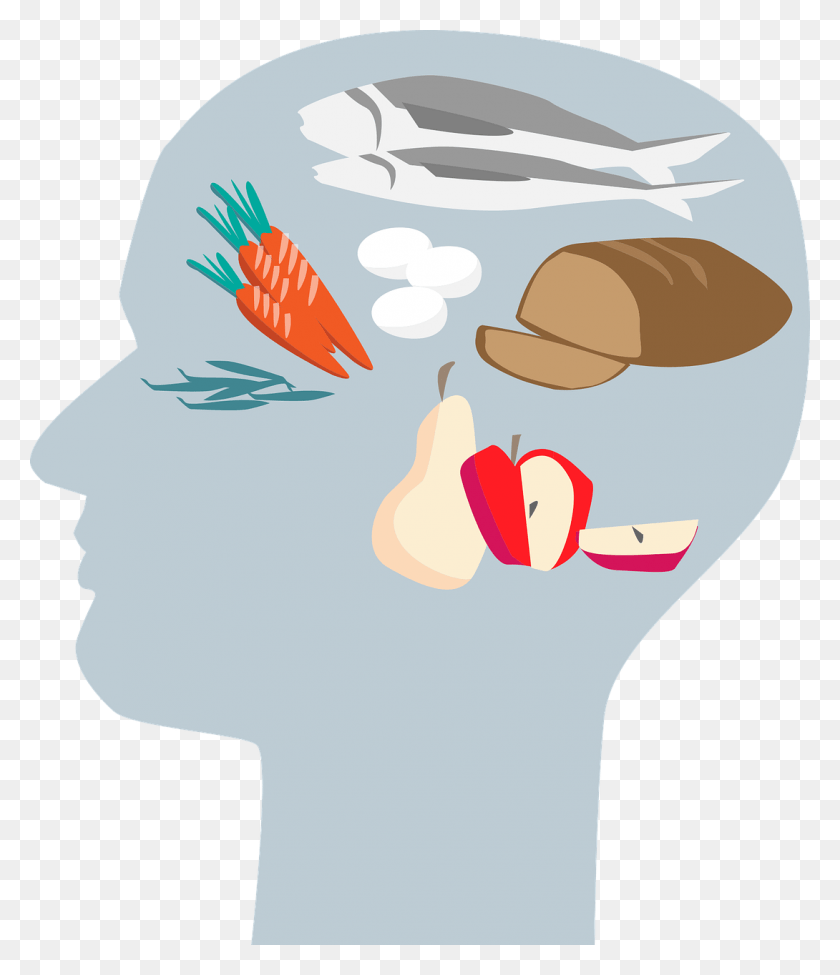 1090x1280 Head Nutrition Free Vector Graphic On Pixabay Nutrition Vector Transparent, Fish, Animal, Pillow HD PNG Download