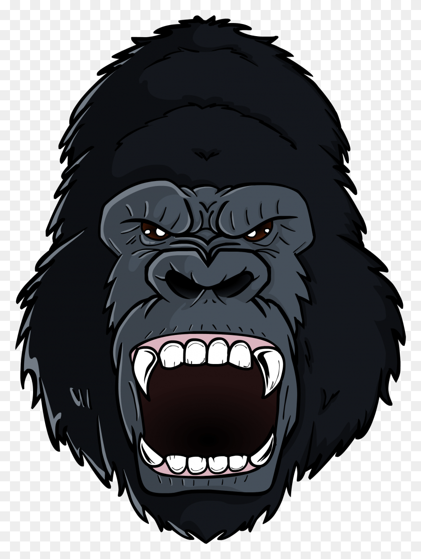 1910x2584 Head Picture Gorilla, Ape, Wildlife, Mammal HD PNG Download