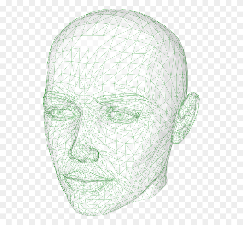 542x720 Head Wireframe Graphics Model 3d Human Computer 3d Model Head Wireframe, Face, Skin HD PNG Download