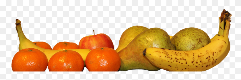 1219x348 La Papaya, Planta, Plátano, Fruta Hd Png