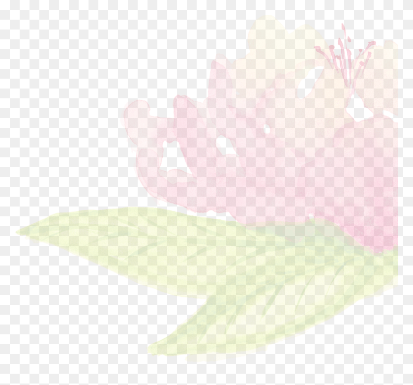 907x841 Header Bg Large Fade Flower Right Embroidery, Plant, Blossom, Pollen HD PNG Download