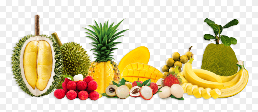 948x373 Header Organic Food, Plant, Fruit, Pineapple HD PNG Download
