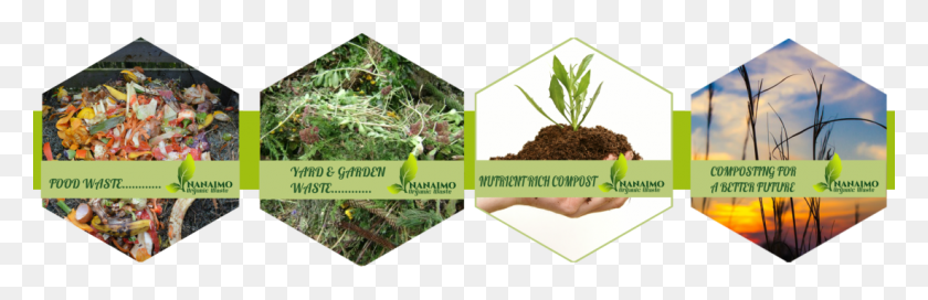 1100x300 Header Pictures Of Food Waste Yard Amp Garden Waste Mulch, Plant, Soil, Vegetation HD PNG Download