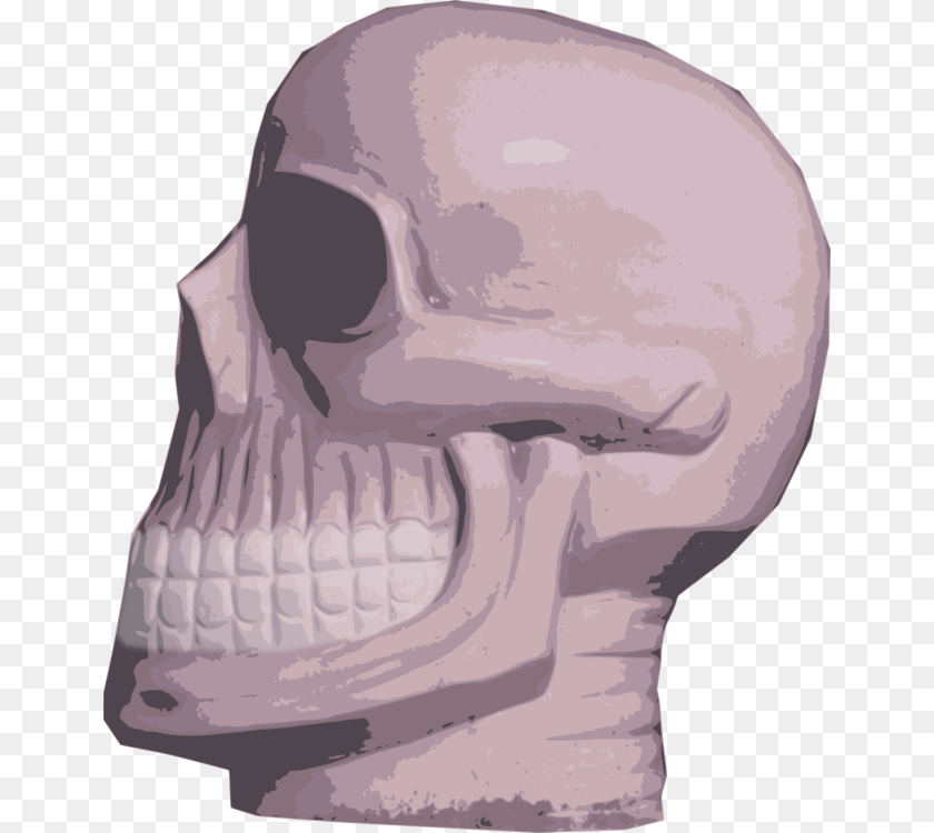 Headskeletonskull Skull, Head, Person, Face, Clothing Sticker PNG