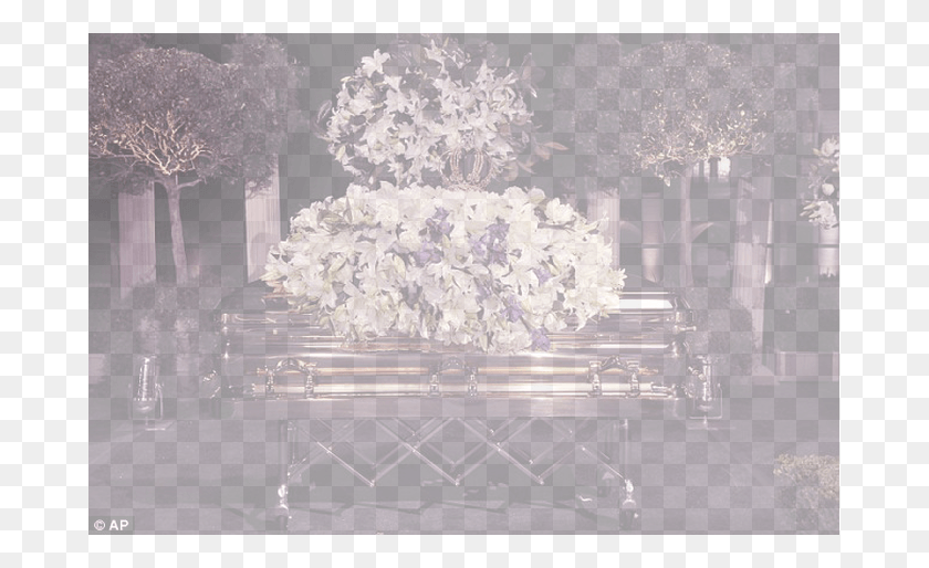 679x454 Sanar El Mundo Michael Jackson Descansó, Funeral, Planta, Flor Hd Png