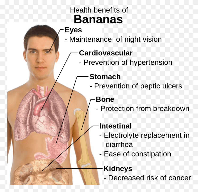 1117x1078 Health Benefits Of Bananas Benefits Of Eating Bananas, Person, Human, Plot HD PNG Download