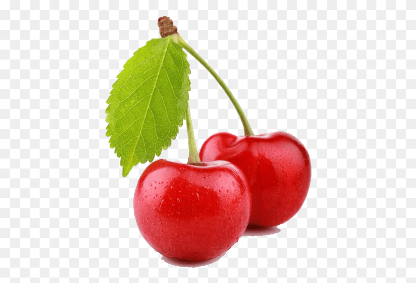 420x511 Health Benefits Of Cherries, Plant, Fruit, Food HD PNG Download