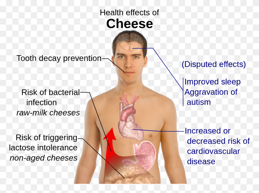 1469x1070 Health Effects Of Cheese Disadvantages Of Cheese, Person, Human, Plot HD PNG Download