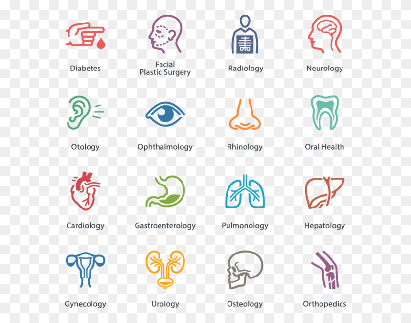 574x600 Health Icons Medical Specialties Icons, Alphabet, Text, Number HD PNG Download