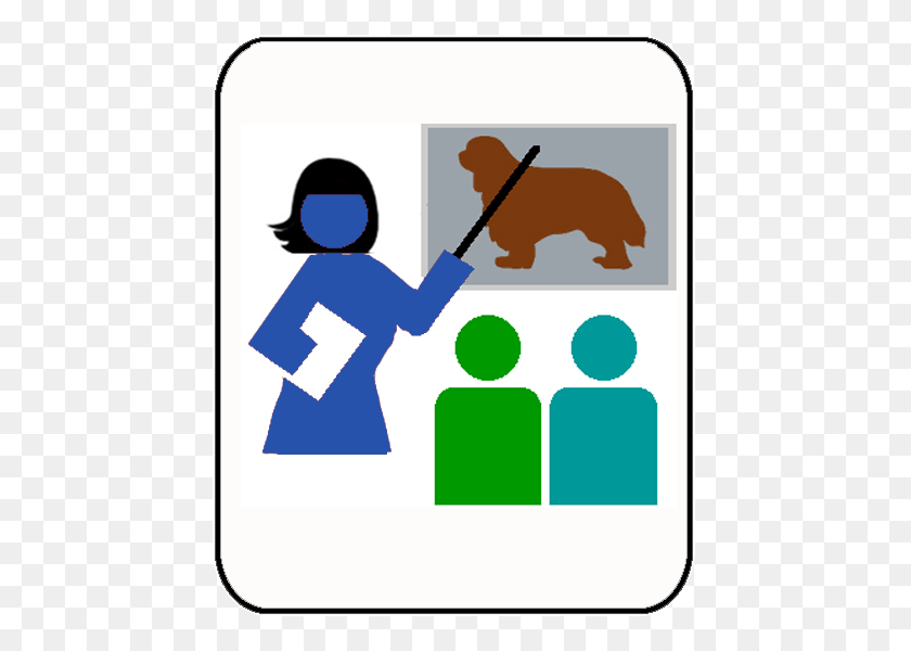 500x600 Health Seminar, Animal, Bear, Cleaning, Mammal Sticker PNG