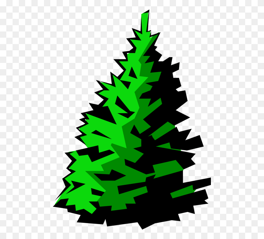503x700 Healthy Fir Image Illustration Of Coniferous Christmas Tree, Graphics, Symbol HD PNG Download