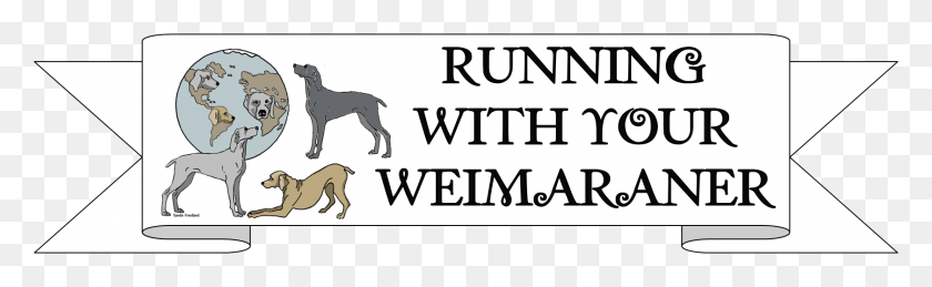 1679x429 Healthy Running Ages For Weimaraners Longdog, Text, Dog, Pet HD PNG Download
