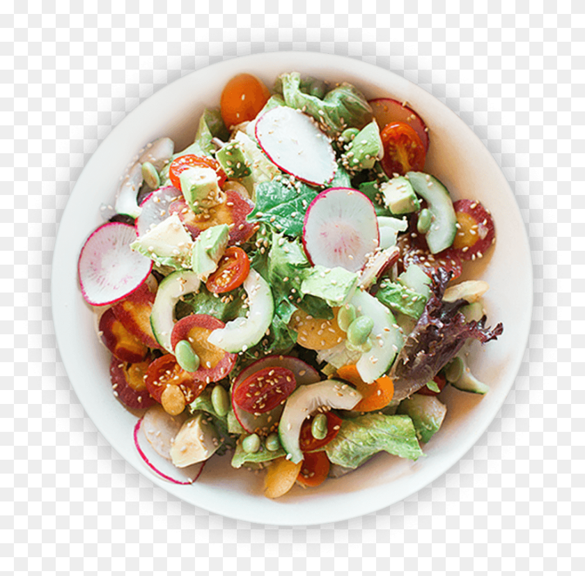 847x833 Healthy Salad Top View Food Plate, Dish, Meal, Plant HD PNG Download