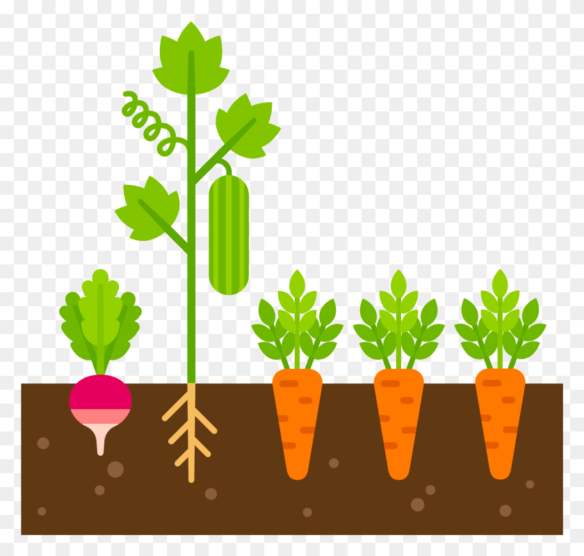 2085x1977 Healthy Soil Holds Enough Water Air And Nutrients To Clip Art Vegetable Plant, Food, Carrot, Root HD PNG Download