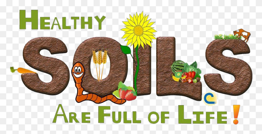 979x466 Healthy Soil That Is Full Of Life, Plant, Vegetation, Rug HD PNG Download