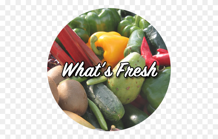 477x477 Descargar Png Healthyways Icon Whatsfresh Icon Pimiento Amarillo, Planta, Vegetal, Alimentos Hd Png