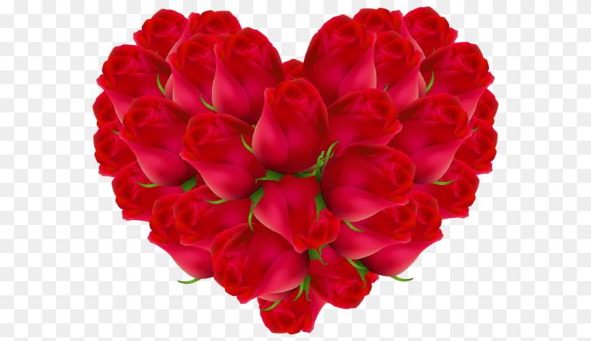 600x485 Heart, Rose, Dahlia, Plant, Flower PNG