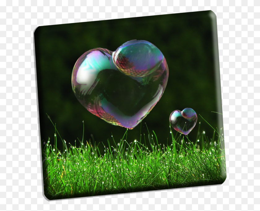 627x622 Сердце Пузыри 4 Мыльных Пузыря Форма Сердца, Трава, Растение, Пузырь Hd Png Скачать