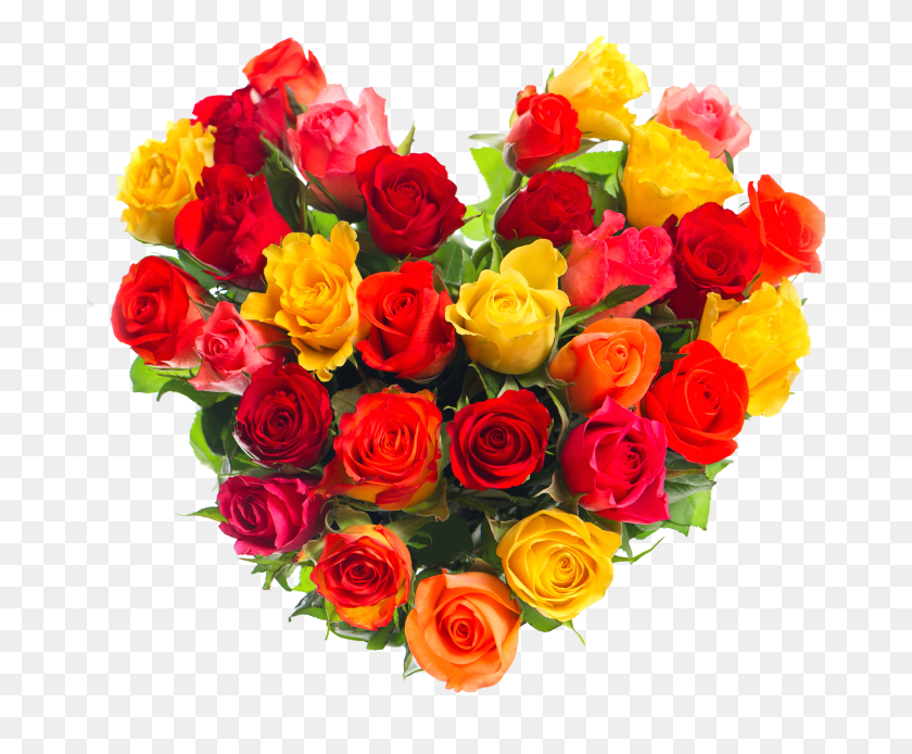 682x634 Сердце Из Роз Druzyam Spasibo Za Pozdravlenie, Растение, Роза, Цветок Hd Png Скачать
